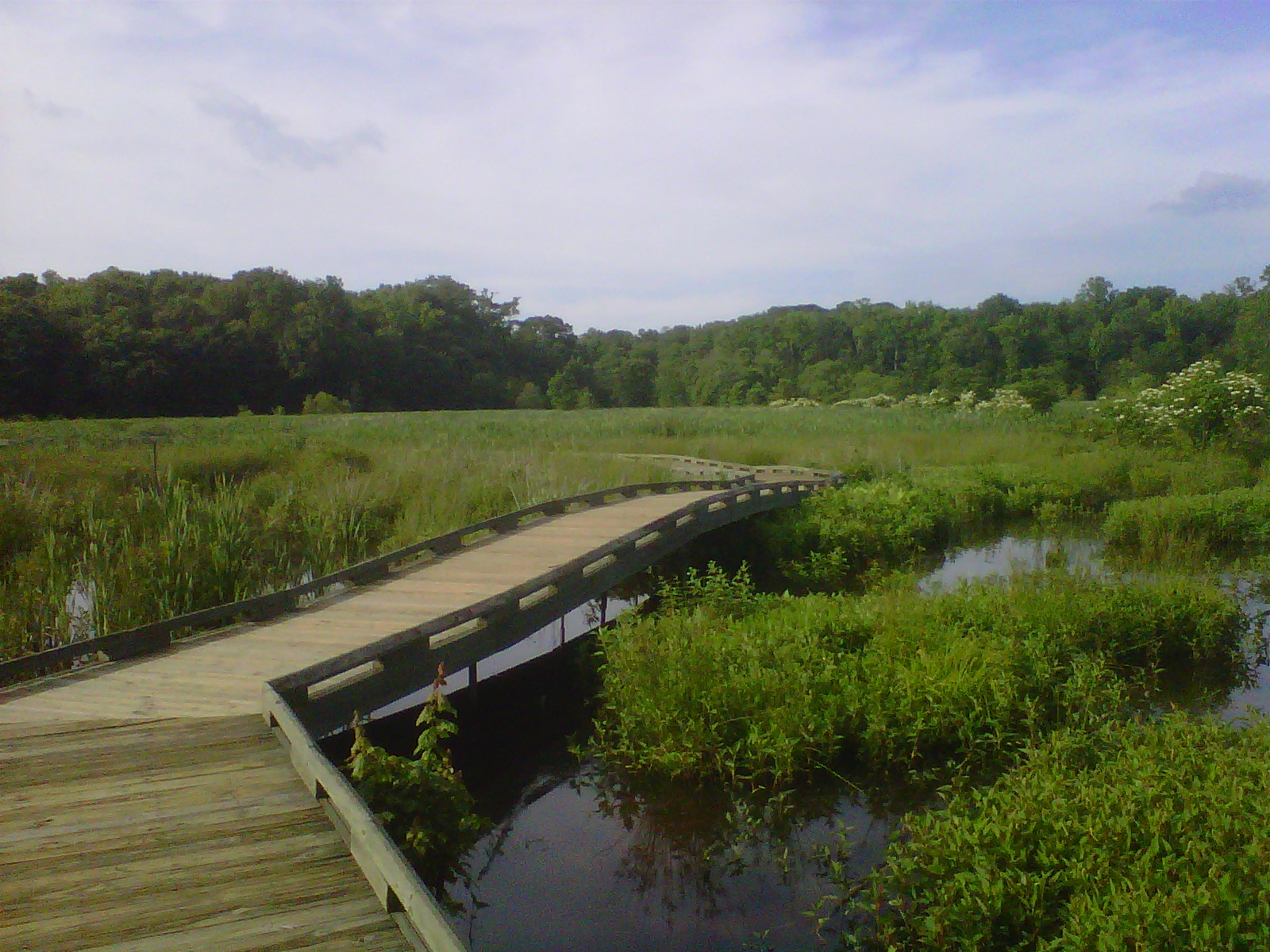 boardwalk at Huntley Meadows